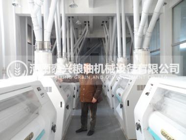 300吨面粉机